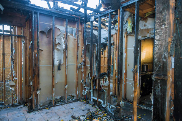 Professional Fire Damage Removal technician working in Osawatomie, KS
